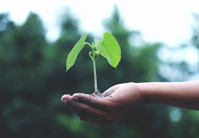 Changes to Death Benefit Insurance